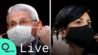 LIVE: Anthony Fauci, Rochelle Walensky Testify to Senate Panel on Fight Against Covid-19