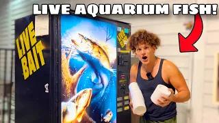 I Found VENDING MACHINE Filled With LIVE AQUARIUM FISH!