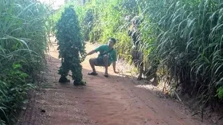 😂😂oops he fell down | Bushman Prank