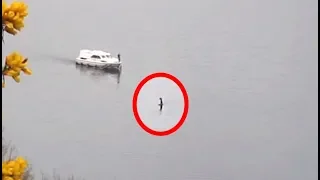 Fisherman Capture This Photo Allegedly Showing That The Loch Ness Monster Is Alive