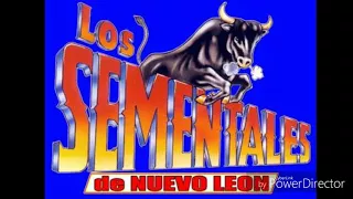 El Arbol De La Horca  -  Los Sementales De Nuevo Leon