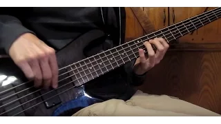 Infectious Grooves - Violent & Funky (Bass cover)