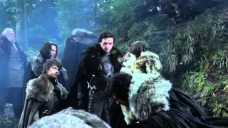Direwolf Puppies Scene - Game of Thrones 1x01 (HD)