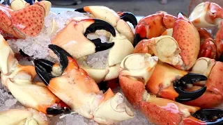 INSANE Seafood EXTRAVAGANZA at the SOUTH FLORIDA SEAFOOD FESTIVAL | Miami, Florida