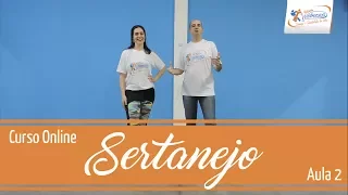 Curso de Sertanejo. Aula 2 - Iniciante - Studio Wellness
