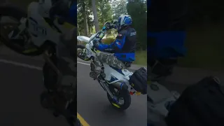 Cleanest Wheelie in the PNW