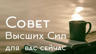 СОВЕТ ОТ ВЫСШИХ СИЛ ДЛЯ ВАС. Что ангелы хотят подсказать вам сейчас?