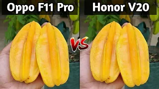 Oppo F11 Pro VS Honor V20 Camera Test Comparison