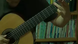 Flee as a Bird (Spanish Trad.)_Guitar Solo