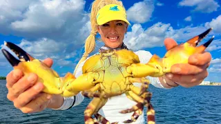 How To Catch Stone Crabs from Zero to HERO!