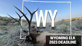 How to Hunt Elk in Wyoming in 2023 | Worldwide Trophy Adventures