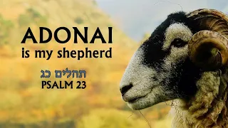 Psalm 23 in Hebrew with English translation