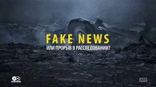 Голландский депутат инструктировал поставного свидетеля катастрофы MH17