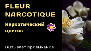 Духи Fleur Narcotique - описание аромата. Наркотический цветок, цепляющий с первого раза.