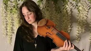 Lord of the Rings - "Houses of Healing" - Violin Cover