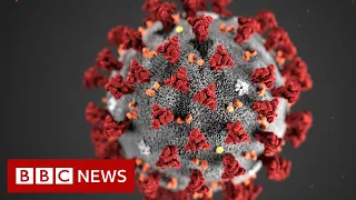 Coronavirus v Influenza: How do the two viruses compare? - BBC News
