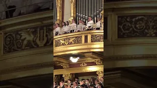 Musikverein Wien, Carmina Burana, Luo in Chöre MGW 20190319