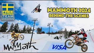 FREESKI SWE -  MAMMOTH 2024