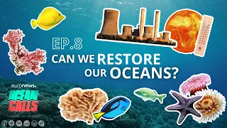 Can we restore our oceans? | Ocean Calls Podcast EP8