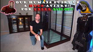 Our Humans - Indoor Macaw Aviary  Cage Build | Under $350.00!!!!