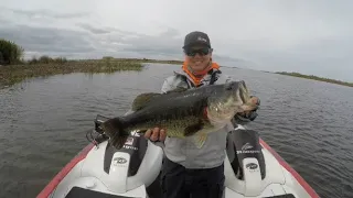 Early Spring Punchin, California Delta (Fishing the Thicc Stuff)