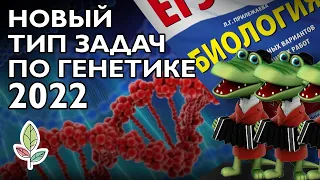 Новые задачи ЕГЭ 2022: голандрический тип наследования и псевдоаутосомные регионы