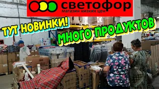 В🚦СВЕТОФОР🚦Привезли разную рыбу🐟НОВИНКИ в холодильнике😨Море продуктов🔥Обзор Любимый Василёк🌼