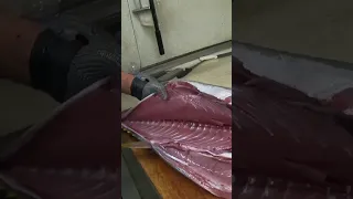 Big Bluefin Tuna Fish Processing #shorts #fishing