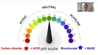 Acid base balance Review for NP boards