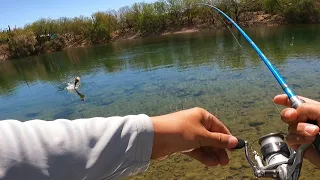 Shore Fishing Lake Pleasant AZ (CRYSTAL CLEAR WATER)