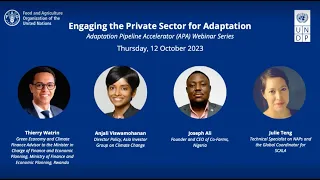 Webinar: Engaging the Private Sector for Adaptation