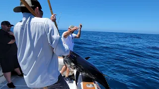 Bluefin Tuna everywhere. Outside Catalina east end. Bowlinesportfishing.com