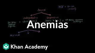 Microcytic, normocytic, and macrocytic anemias | NCLEX-RN | Khan Academy