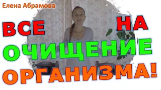 Елена Абрамова ВСЕМ на очищение организма!