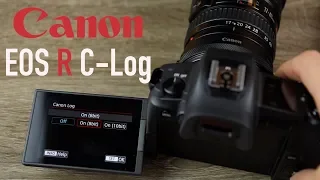 How to Record C Log - Canon EOS R