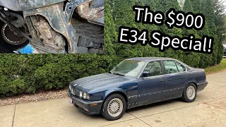 What a $900 Running and Driving BMW E34 535i/5 Looks Like In 2023 | Could be Worse?