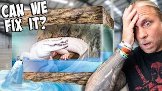 My Albino Alligators Cage Fix! Will It Work?