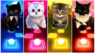 CUTE CATS LADY GAGA BLOODY MARY vs BLACKPINK LISA MONEY vs JISOO FLOWER vs DDU-DU DDU-DU 💥 Tiles Hop