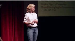 Dogs for Conservation | Megan Parker | TEDxJacksonHole