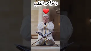 من هم أحفاد النبي محمد صل الله عليه وسلم