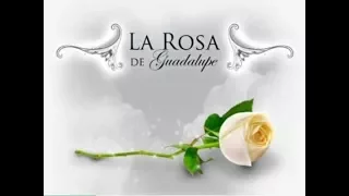 La Rosa de Guadalupe / NO SOY NIÑA !!!!