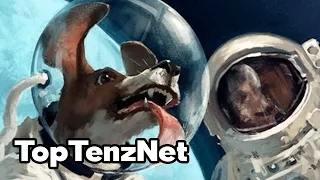 Top 10 Animals That Changed the World — TopTenzNet