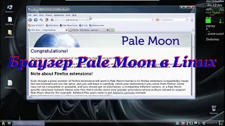 53 Браузер Pale Moon в Linux.