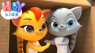 Tomocat e un bel gattone 🐱 Canzoni e cartoni animati per bambini | HeyKids