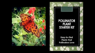 Pollinator Plant Starter Kit