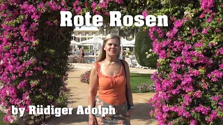 Rote Rosen by Rüdiger Adolph