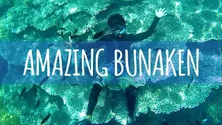 AMAZING BUNAKEN - One of the famous underwater park all over the world