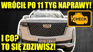 CADILLAC wrócił PO 11 TYGODNIACH NAPRAWY w Hornecie. I co? NO NIE UWIERZYSZ!