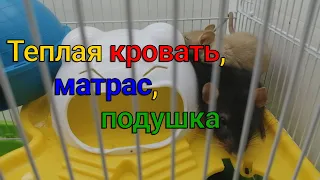 Крысы спят | Забавное видео