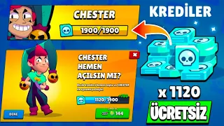 ÜCRETSİZ KREDİ VEREN BUG | EFSANEVİ CHESTER ? Brawl Stars Yeni Güncelleme